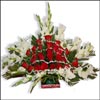 Dream World - Click here to View more details about this Product